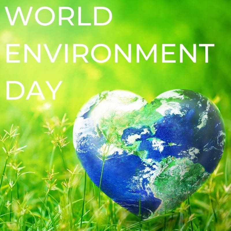 Happy World Environment Day Parallel Blue